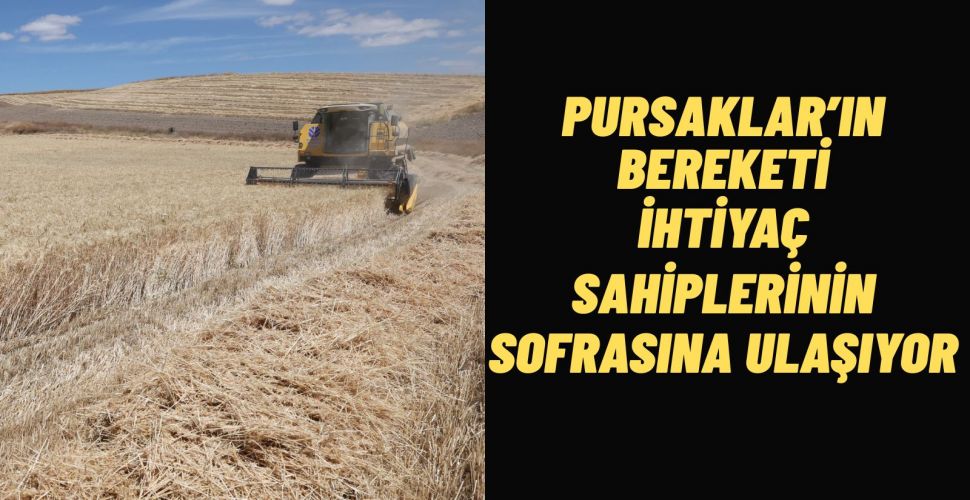 Pursaklar'da Bereketli Hasat Başladı