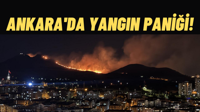 Mamak’ta Ağaçlık aAanda Yangın Paniği! 1 Kişi Gözaltında, Ekipler Seferber Oldu