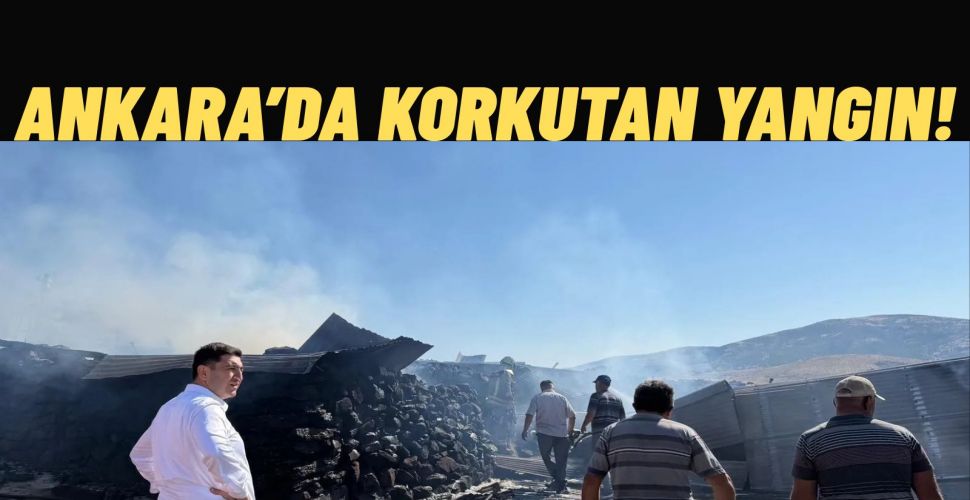Ankara’da Korkutan Yangında Çiftlik Kullanılamaz Hale Geldi