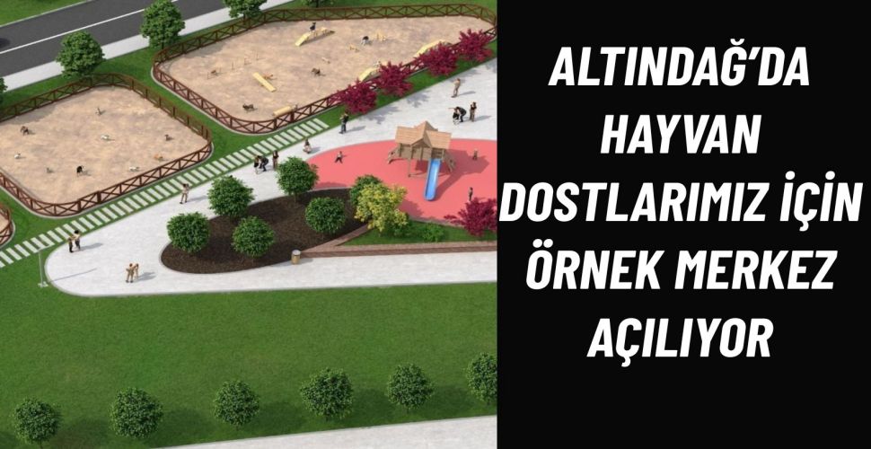 Altındağ’da Sokak Hayvanları İçin Modern Merkez Çok Yakında Açılıyor