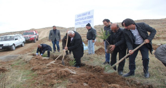 Sarıçamlar toprakla buluştu...