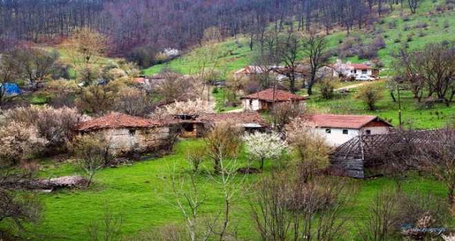 Köyümüze dönmeliyiz...