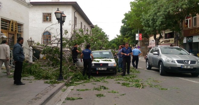 Fırtınanın devirdiği ağaç otomobilin üzerine düştü