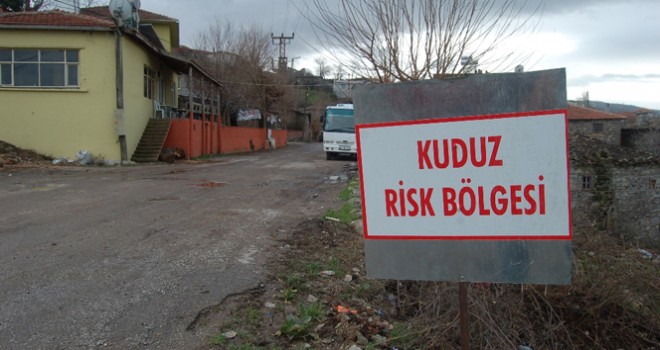 Osmaniye'de kuduz karantinası