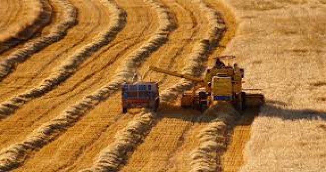 Hasat dönemi öncesi çiftçilere müjde