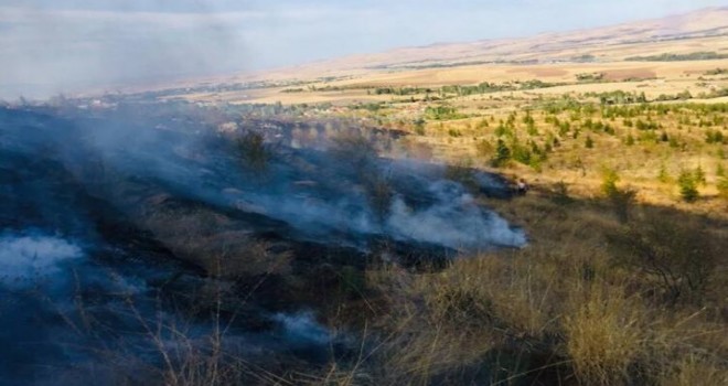 Kaman'da ormanlık alanda yangın...