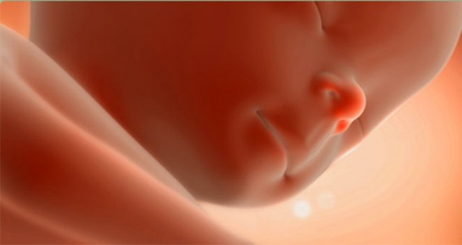 Kısırlığın sonumu geliyor?