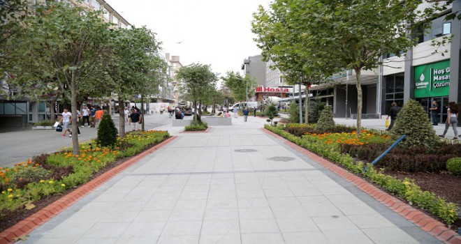 Sakarya caddesi yeşilleniyor...