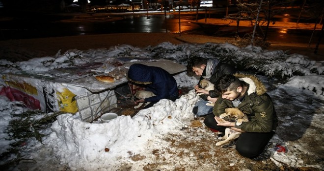 Köpek yavrularını donmaktan mahalleli kurtardı
