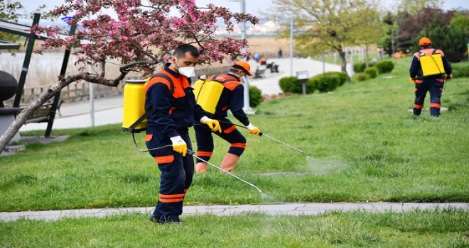 Anfa'dan sonra Belplas'ta olacak...