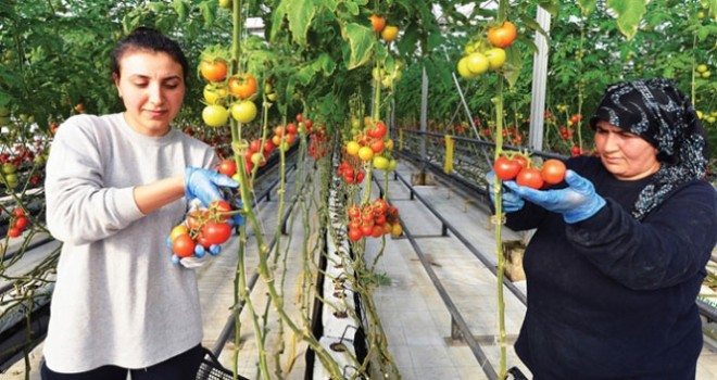 Bir zamanlar çöplüktü!