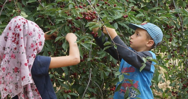 150 tondan 30 tona düştü...