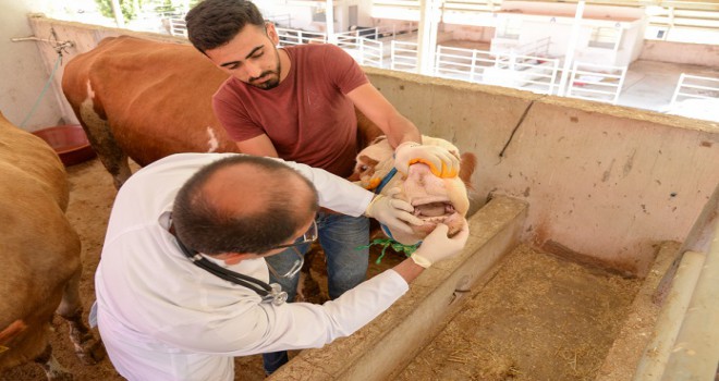 KURBANLIKLARA SAĞLIK TARAMASI