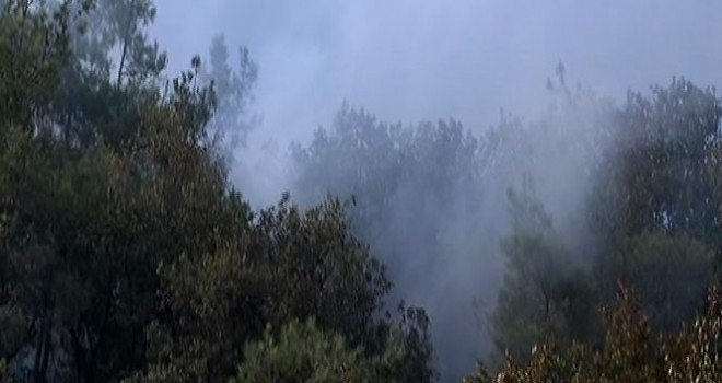 Kemerburgaz’da ormanlık alanda yangın