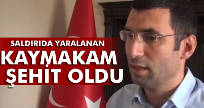 Derik Kaymakamı Muhammed Fatih Safitürk şehit oldu