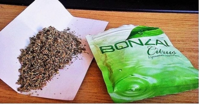 1 haftada 3 bonzai vakası