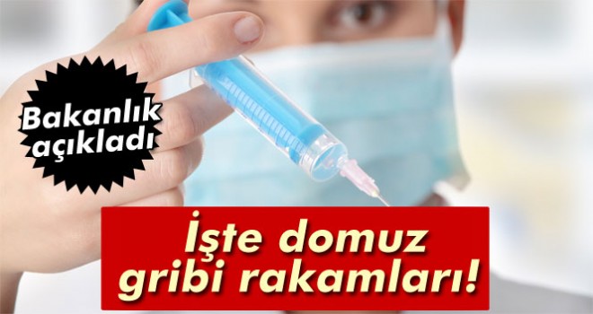 Sağlık Bakanlığı domuz gribi rakamlarını açıkladı!