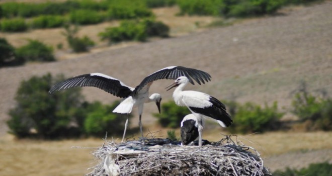 ATO, Kızılcahamam’ı tanıtacak