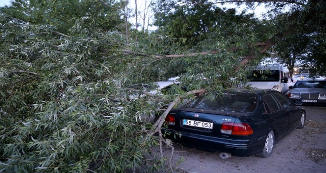 Kırılan ağaç dalı otomobillerin üzerine düştü...