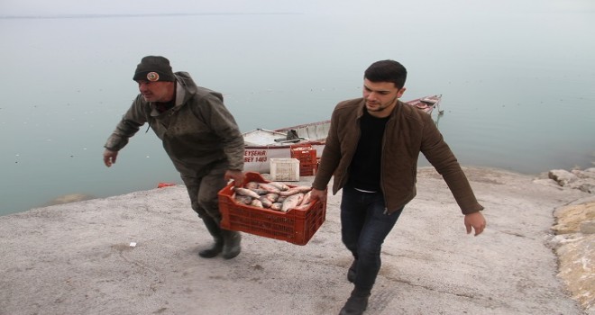 Çin sazanı balıkçıların yeni umudu oldu...