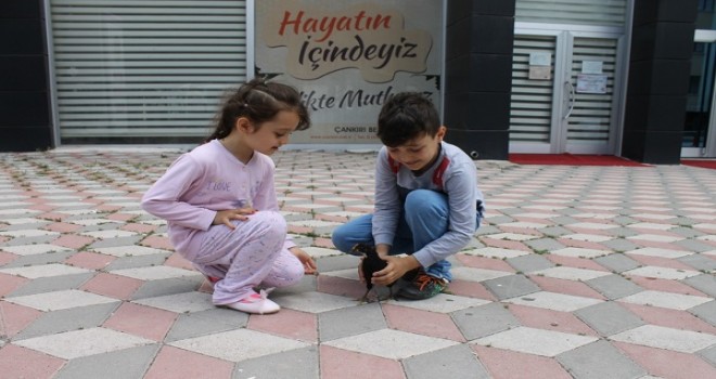 Minik civcivi itfaiye ekipleri kurtardı...