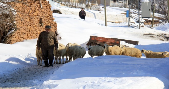 1,5 metreye ulaşan kar köylülerin günlük yaşamını olumsuz etkiledi