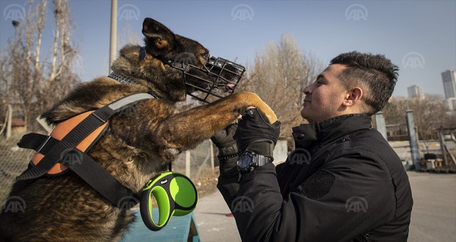 Metro'nun sevimli güvenlikçileri...