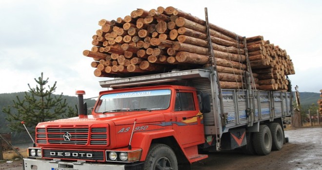 Orman ürünleri ihaleyle satıldı...