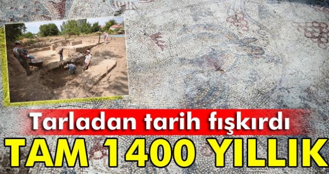 Yonca tarlasından tarih fışkırdı