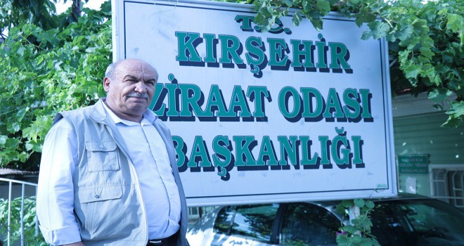 Tarladaki ürünün yüzde 30'u yağışlardan zarar gördü