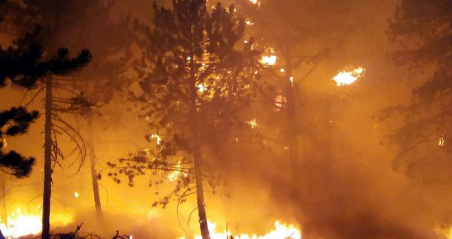 Şahin: Nallıhan yangınında yerleşim yerlerini boşaltacak bir durum görmedik