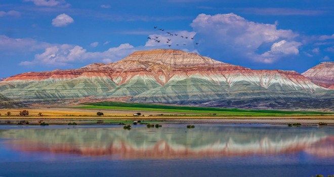 Nallıhan Kuş Cennetine bekliyoruz…