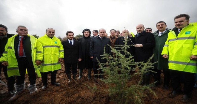 İstanbul Havalimanı için 8 yılda 10 milyon ağaç dikilecek