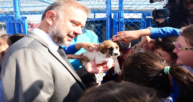 Sokaktaki dostlarımızın sıcak yuvası