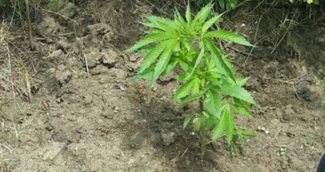 Mamak'ta Uyuşturucu operasyonu...