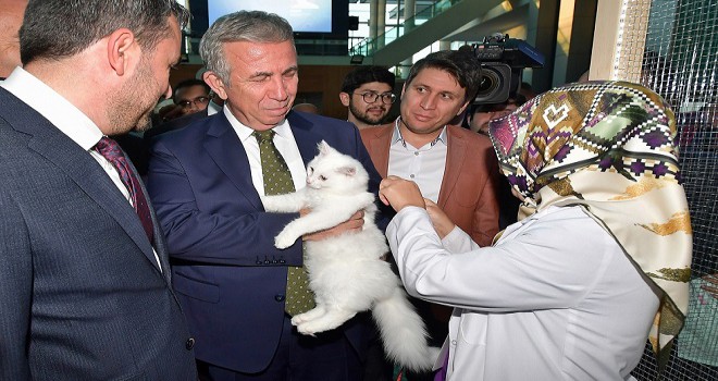 BEYPAZARI KURUSU İSKOÇ BİSKÜVİSİNE RAKİP OLABİLİR