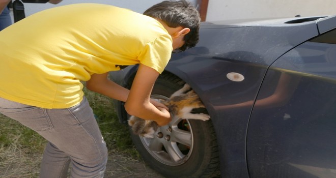 Araca sıkışan Yavru kedi için seferber oldular...