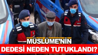 Yörük kızı Müslüme'nin dedesi neden tutuklandı- Müslüme'yi dedesi mi öldürdü