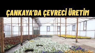 Çankaya Belediyesi Suya Duyarlı Çiçek Üretimiyle Örnek Oluyor