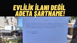 Ankara'da Otobüs Durağındaki Evlilik İlanı Gündem Oldu Şartlar Var Kendisi Yok
