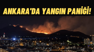 Mamak’ta Ağaçlık aAanda Yangın Paniği! 1 Kişi Gözaltında, Ekipler Seferber Oldu
